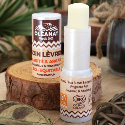 Soin lèvres karité et argan