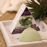 Ayurvenat solid shampoo